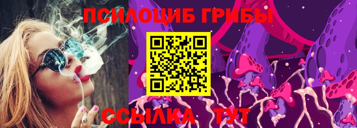 Галлюциногенные грибы GOLDEN TEACHER  наркота  Ухта  Галлюциногенные грибы Psilocybine cubensis  Вход с VPN 